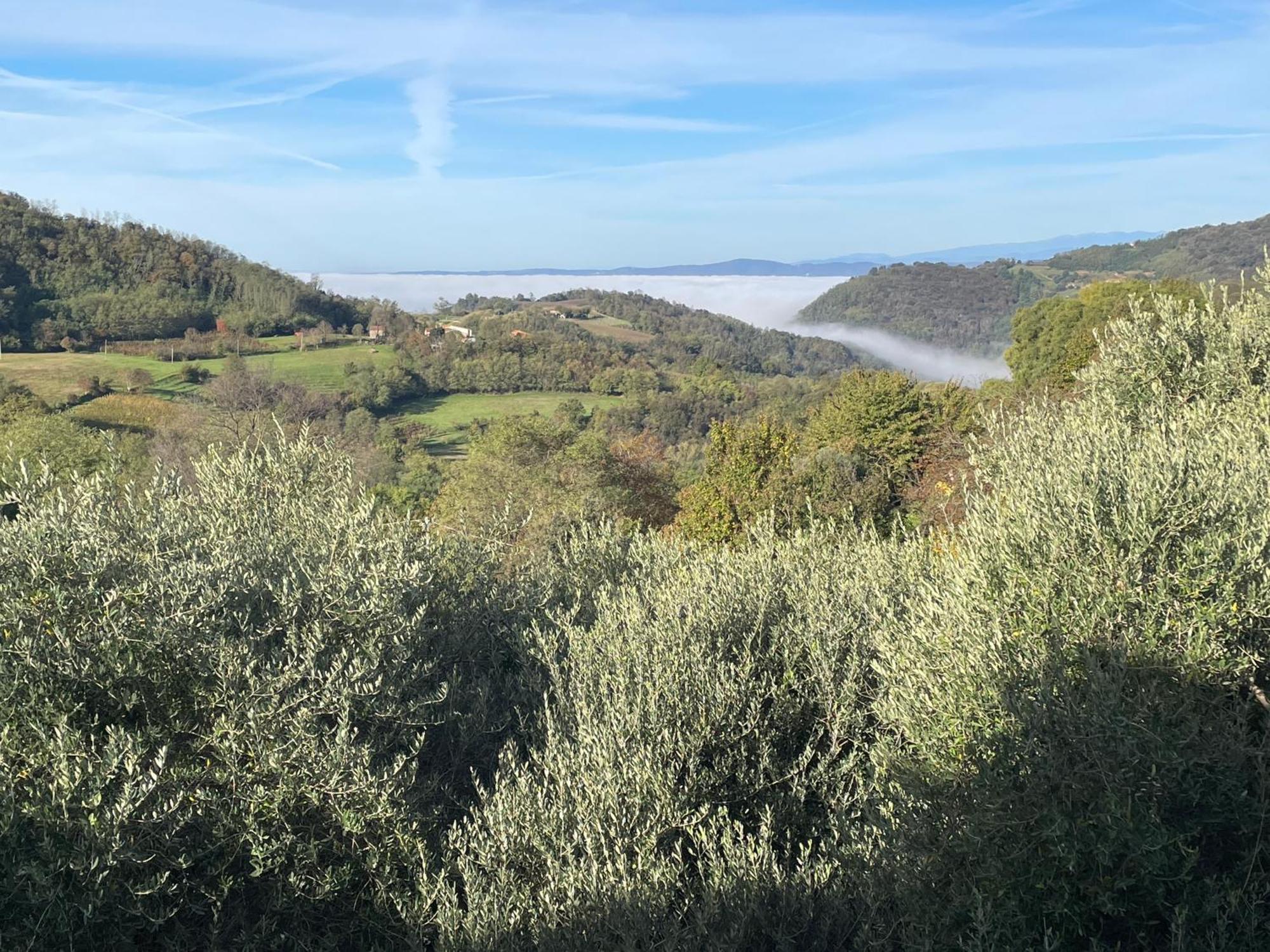 Agriturismo Ai Gradoni Teolo Exterior foto